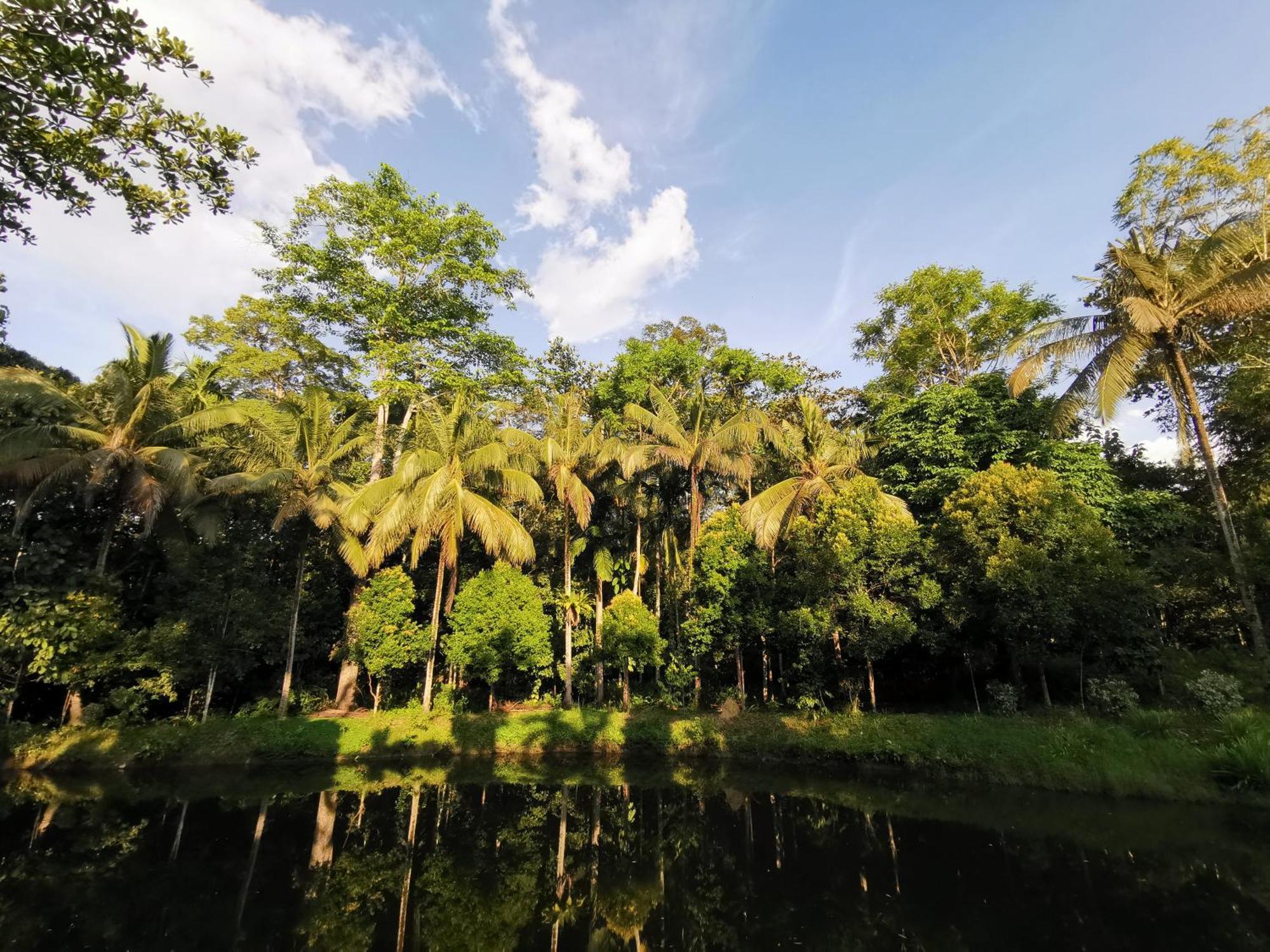 Sepilok Jungle Resort Eksteriør bilde
