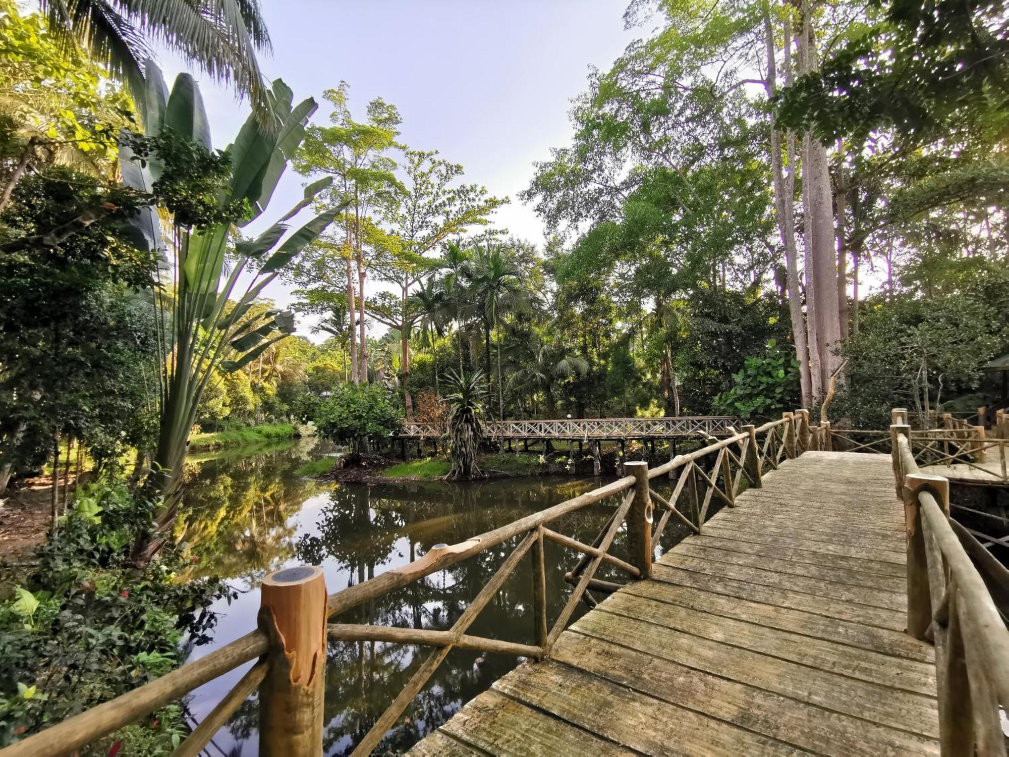 Sepilok Jungle Resort Eksteriør bilde