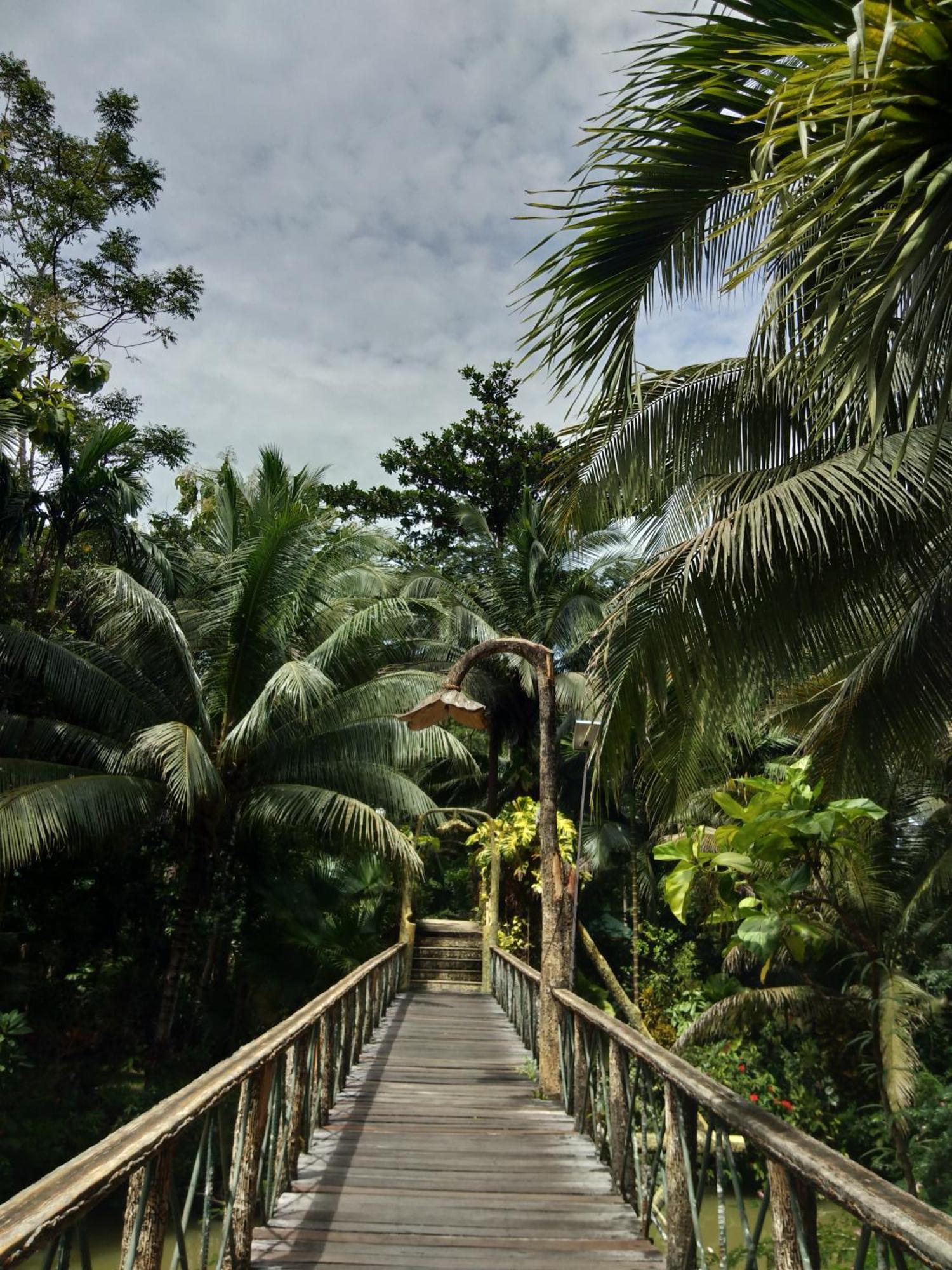 Sepilok Jungle Resort Eksteriør bilde