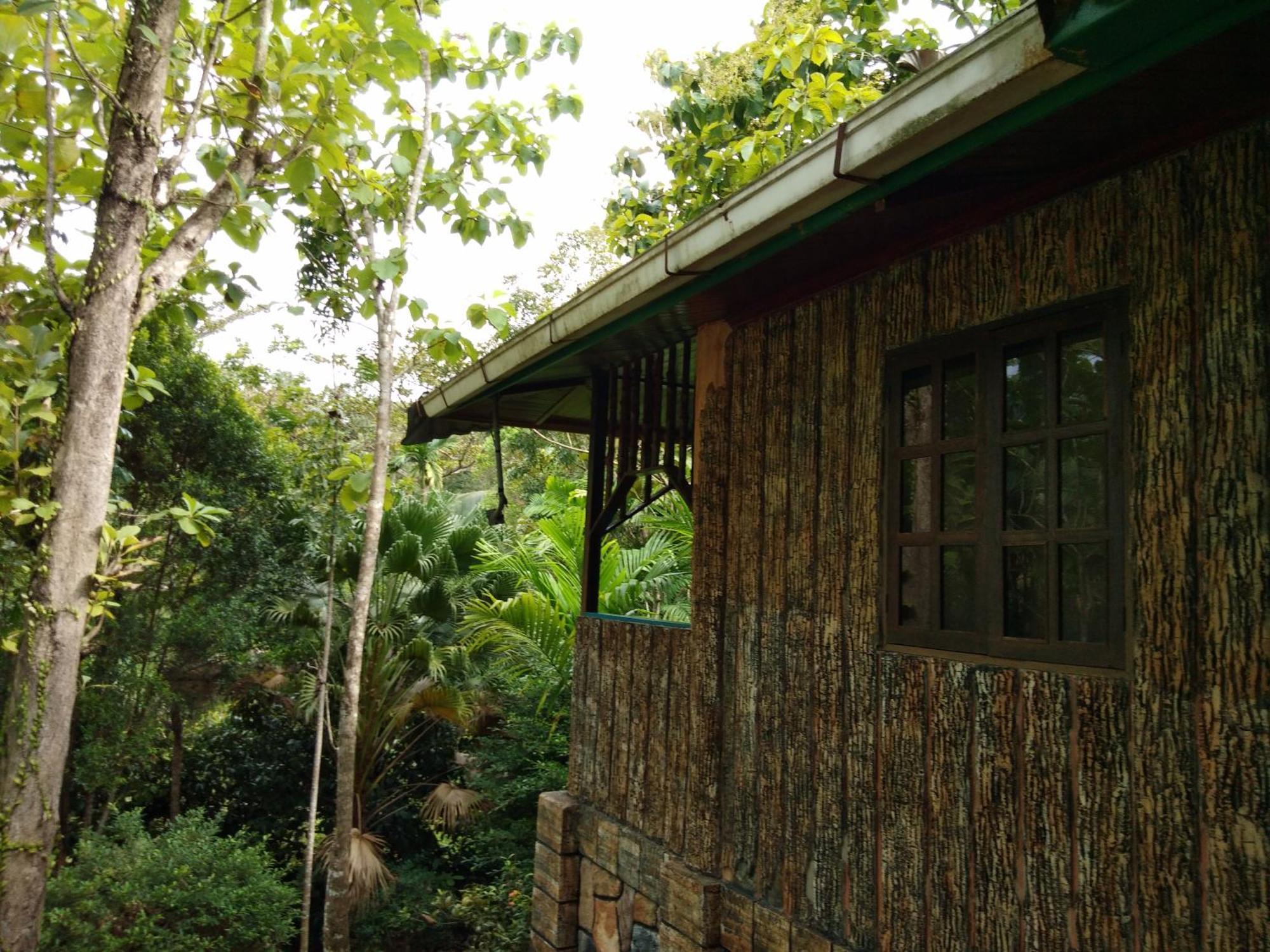 Sepilok Jungle Resort Eksteriør bilde