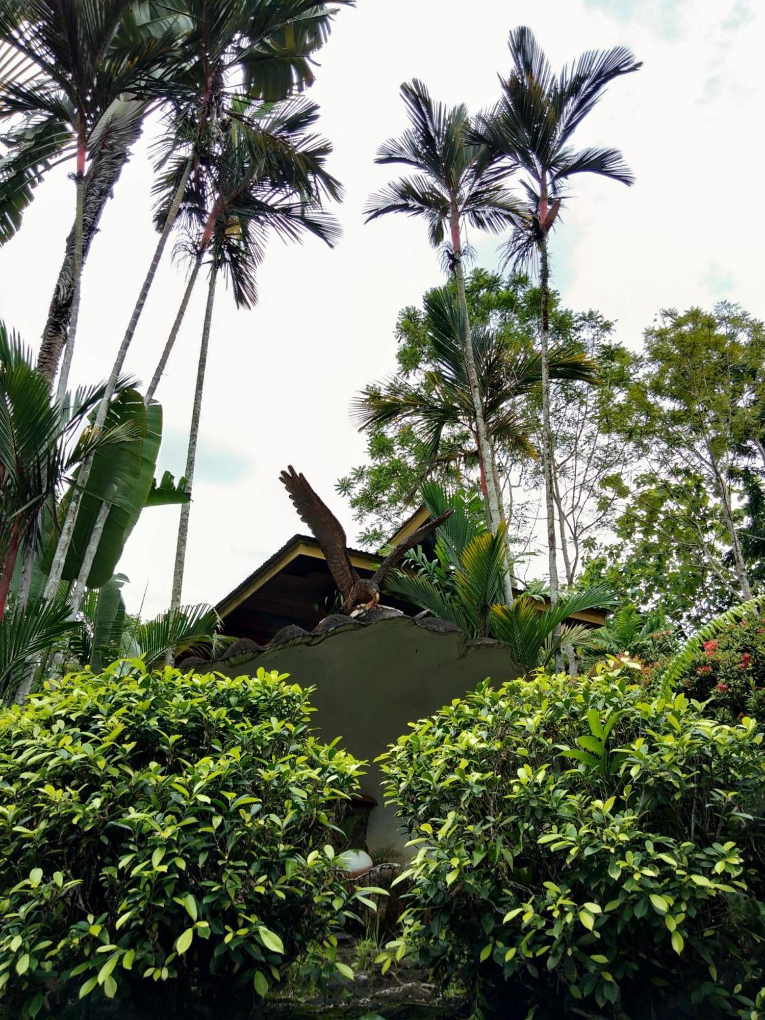 Sepilok Jungle Resort Eksteriør bilde